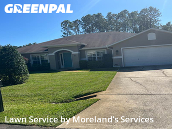 Lawn Cut nearby Palm Coast, FL, 