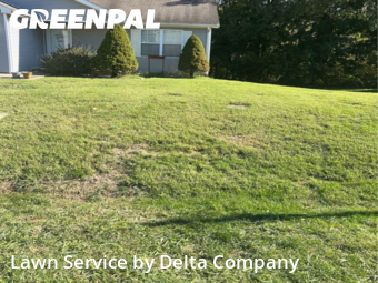 Mowing Services in Bowling Green, 42101, Weed Trimming by Delta Company , work completed in Nov , 2025