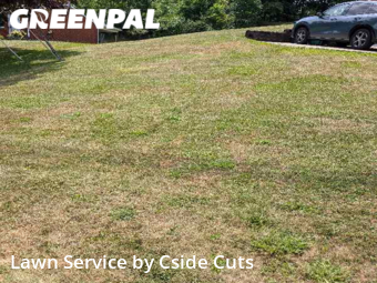 Grass Cut nearby Gibsonia, PA, 