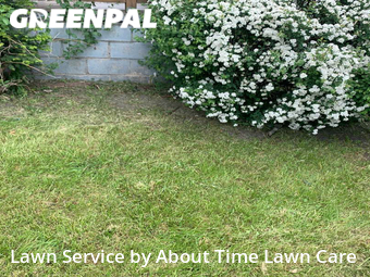 Lawn Maintenance nearby Detroit, MI, 