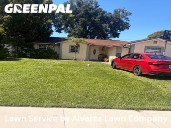 Lawn Cutin Altamonte Springs,32714,Lawn Care by Alvarez Lawn Company, work completed in Jul , 2026