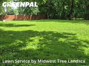 Lawn Cut nearby Oak Forest, IL, 