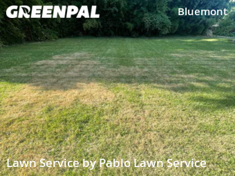 Grass Cutting nearby Arlington, VA, 