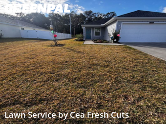 Lawn mowed in Ocala, 34479