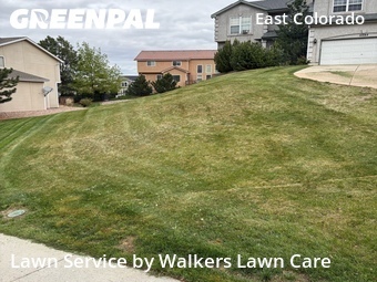 Lawn Cut nearby Colorado Springs, CO, 