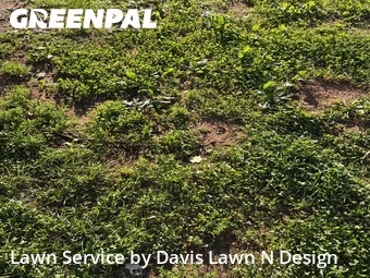 Lawn Cut nearby Knoxville, TN, 