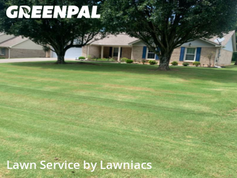 Lawn Mowing nearby Harvest, AL, 