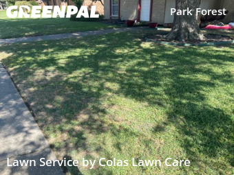 Lawn Maintenance nearby Plano, TX, 