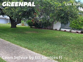 Lawn Cutting nearby Clearwater, FL, 