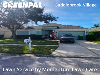 Yard Cuttingin Wesley Chapel,33544,Lawn Cut by Momentum Lawn Care, work completed in Jan , 2026