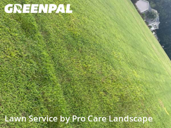 Yard Management in New London, 28127, Yard Care by Pro Care Landscape , work completed in Nov , 2025