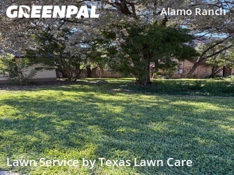 Lawn Mowing Servicein San Antonio,78232,Lawn Care by Texas Lawn Care, work completed in Dec , 2025