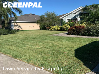 Yard Cutting nearby Lakeland, FL, 