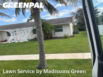 Lawn Maintenance in Royal Palm Beach, 33411, Yard Cutting by Madissons Green, work completed in Nov , 2025