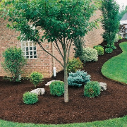 local-lawn-and-landscape-maintenance-services-near-me-in-Caldwell-ID