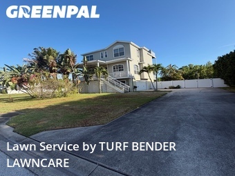 Grass Cutting nearby Palm Harbor, FL, 