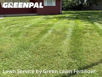 Lawn Mowing nearby Springfield, MO, 