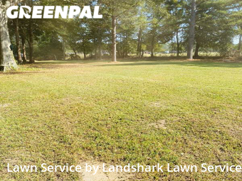 Lawn Cut nearby Shelby County, MS, 