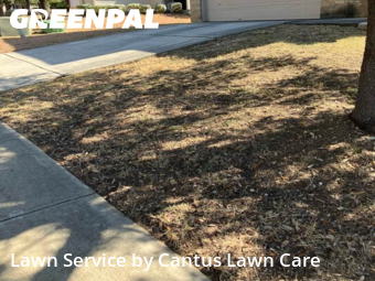Grass Cuttingin San Antonio,78252,Lawn Service by Cantus Lawn Care, work completed in Oct , 2025