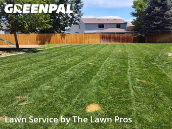 Lawn Mow nearby Thornton, CO, 