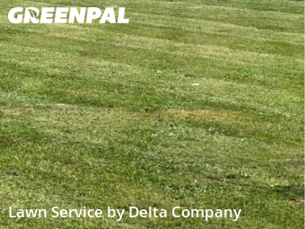 Lawn Maintenance in Bowling Green, 42101, Lawn Services by Delta Company , work completed in Nov , 2025