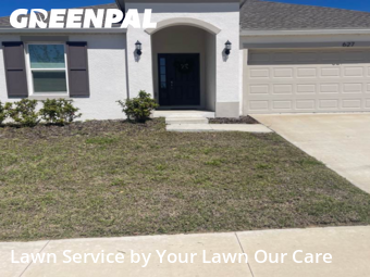 Lawn Cut nearby Davenport, FL, 