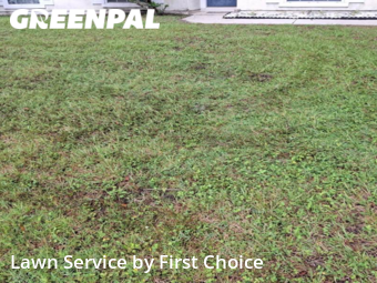 Lawn Service nearby Palm Coast, FL, 