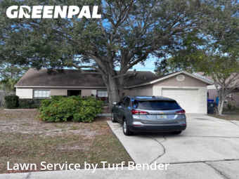 Grass Cutting nearby Oldsmar, FL, 