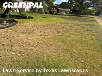 Grass Cuttingin Richardson,75081,Lawn Cut by Texas Lawnscapes, work completed in Dec , 2025