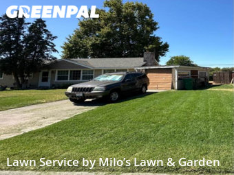 Lawn Cut nearby Kennewick, WA, 