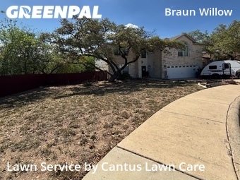 Lawn Cutting nearby San Antonio, TX, 