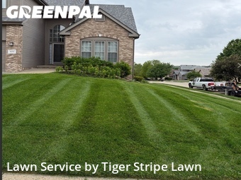 Lawn Cut nearby Omaha, NE, 