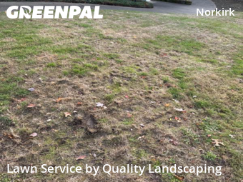 Property Maintenance in Kirkland, 98033, Yard Care by Quality Landscaping, work completed in Nov , 2025