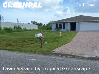 Lawn Mow nearby Port Charlotte, FL, 
