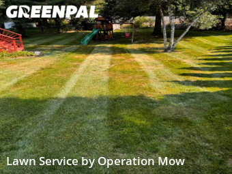 Yard Cutting nearby Mogadore, OH, 