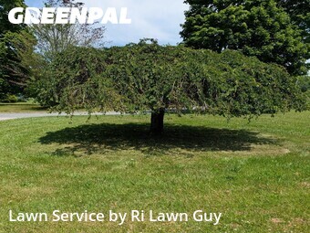 Lawn Mowing nearby Tiverton, RI, 