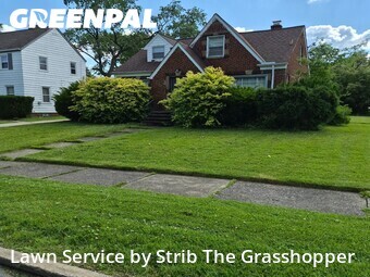 Lawn Mowing nearby Euclid, OH, 