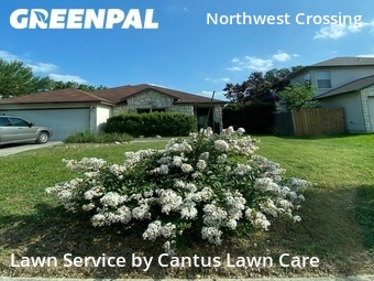 Lawn Care nearby San Antonio, TX, 