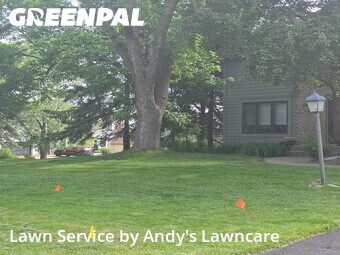 Lawn mowed in Woodbury, 55125