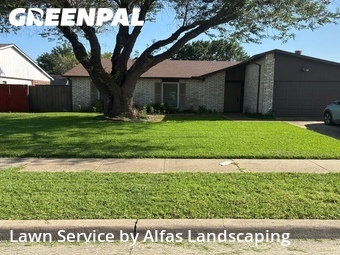 Yard Mowing nearby The Colony, TX, 