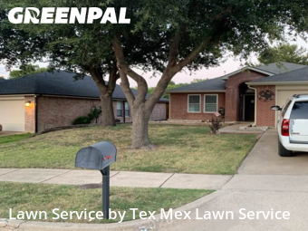 Lawn Cut nearby Dallas, TX, 