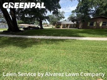 Grass Cutin Altamonte Springs,32714,Lawn Mow by Alvarez Lawn Company, work completed in Jun , 2026