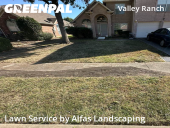 Lawn Mowing Servicein Irving,75063,Yard Mowing by Alfas Landscaping, work completed in Nov , 2025