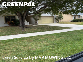 Lawn mowed in Boca Raton, 33428