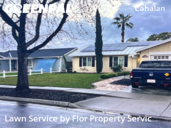 lawn-maintenance-in-Palo Alto-CA