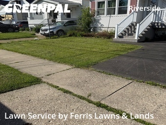 Lawn Care Service nearby Buffalo, NY, 