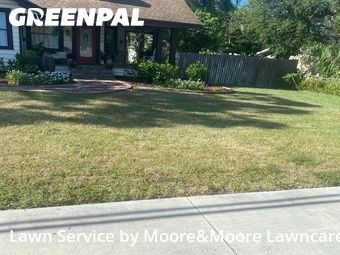 Lawn Cut nearby Largo, FL, 