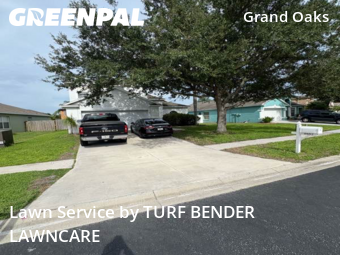 Grass Cut nearby Land O' Lakes, FL, 