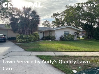 Lawn Maintenance nearby St. Petersburg, FL, 