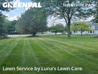 Lawn Mow nearby Naperville, IL, 